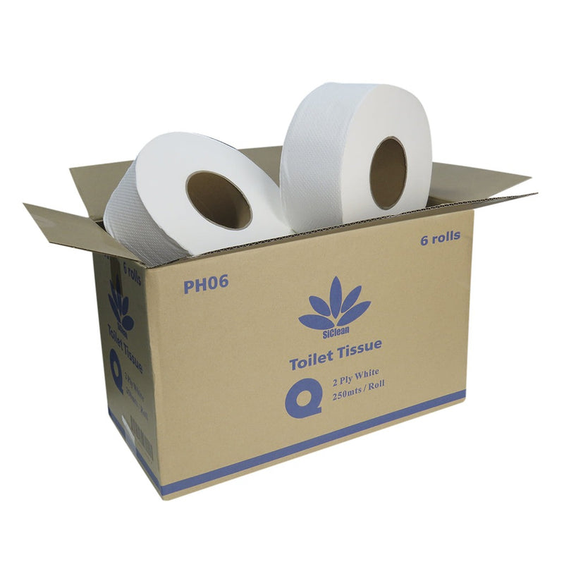 P. HIGIÉNICO SICLEAN / 6 ROLLOS DE 250M / 2PLY