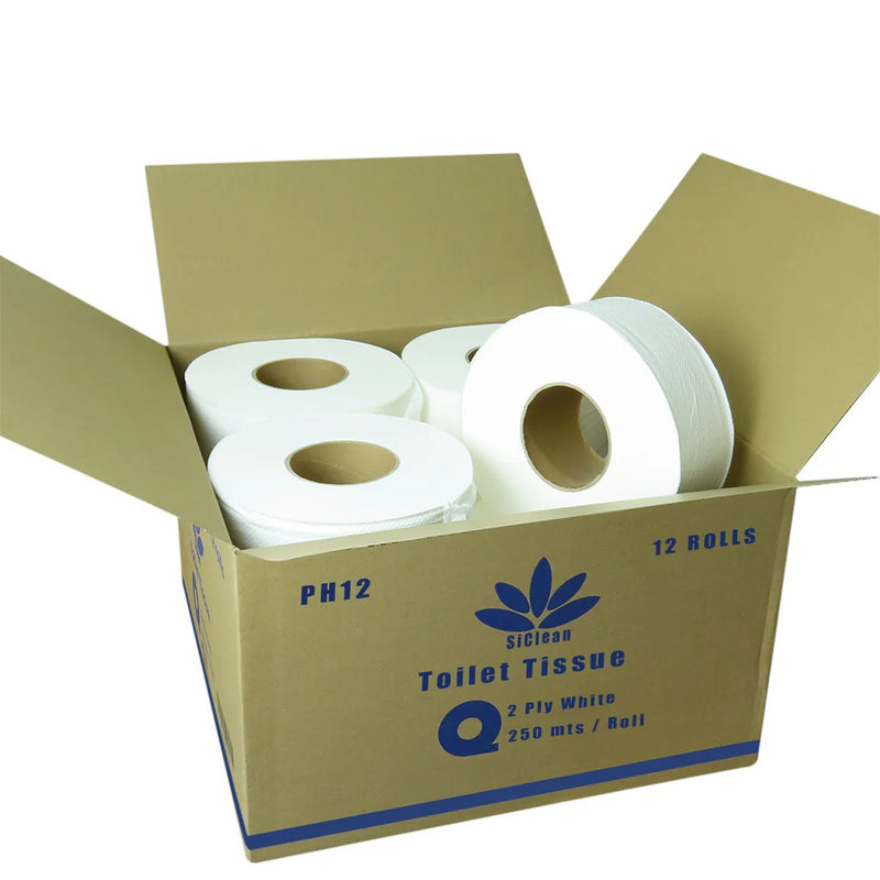 P. HIGIÉNICO SICLEAN / 12 ROLLOS DE 250M / 2PLY