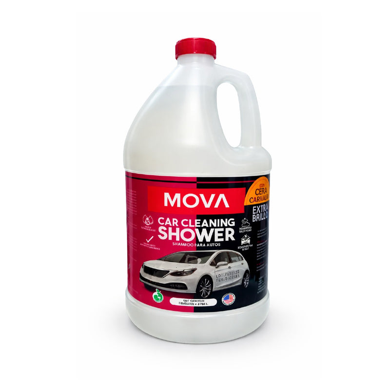 SHAMPOO DE AUTO / CAJA 4GL / CON CERA CARNAUBA
