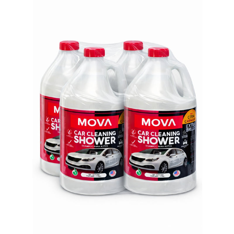 SHAMPOO DE AUTO / CAJA 4GL / CON CERA CARNAUBA